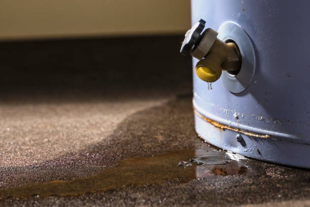 Best Sewage cleanup and water damage restoration  in Lake Forest, IL
