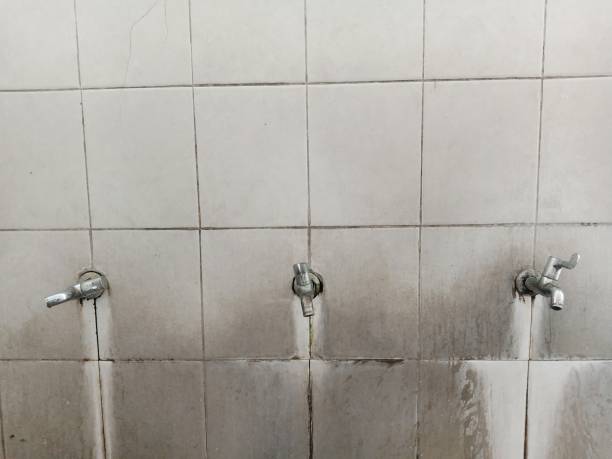 Best 24-hour water damage restoration  in Lake Forest, IL