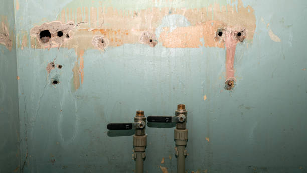 Water damage restoration mold remediation in Lake Forest, IL
