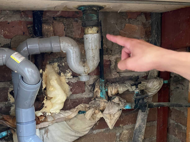 Best Water damage restoration near me  in Lake Forest, IL