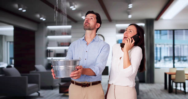Best Basement water damage restoration  in Lake Forest, IL