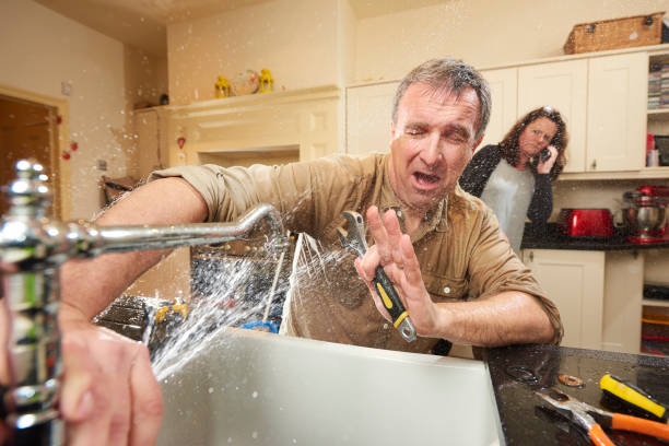 Best 24/7 water damage repair  in Lake Forest, IL